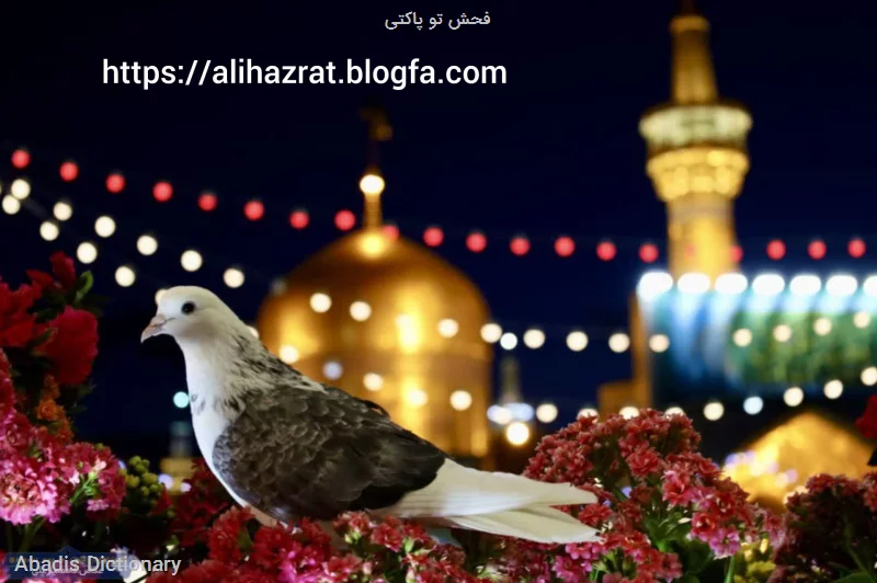 فحش تو پاکتی